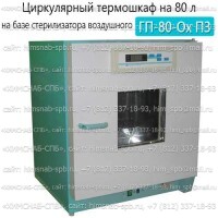 Купить циркулярный термошкаф на 80 л. (на базе стерилизатора воздушного ГП-80-Ох ПЗ) Санкт-Петербург