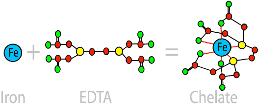 Железо сочетается с ЕДТА образуя хелат, образование хелата железа